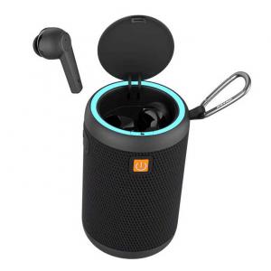 2 in 1 Earbuds Speaker 